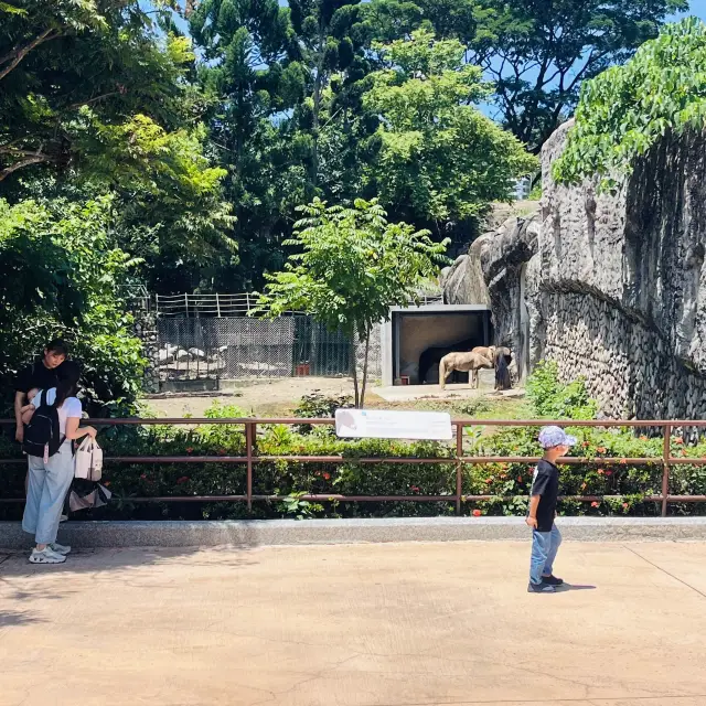 台灣高雄壽山動物園