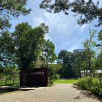 兒童玩具圖書館📚