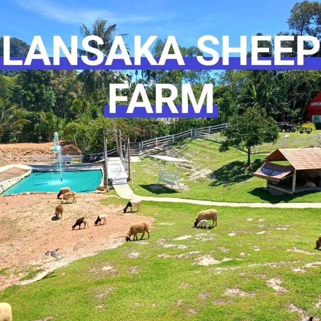 LANSAKA SHEEP FARM 