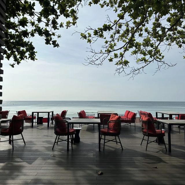 📚🏨🏖️ 求知度假！探索圖書館酒店，享受私人沙灘的閱讀樂趣！📖🏝️🏛️