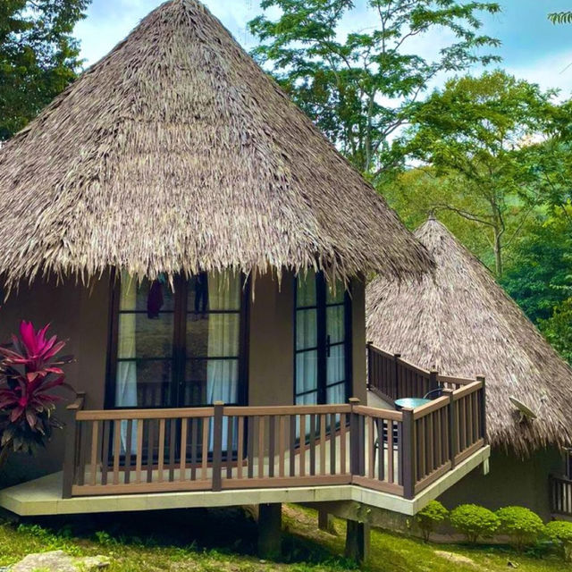 Hidden Gems of Jeli!