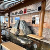 【鹿児島】無事に着陸出来るのか⁉︎ドキドキフライト✈️