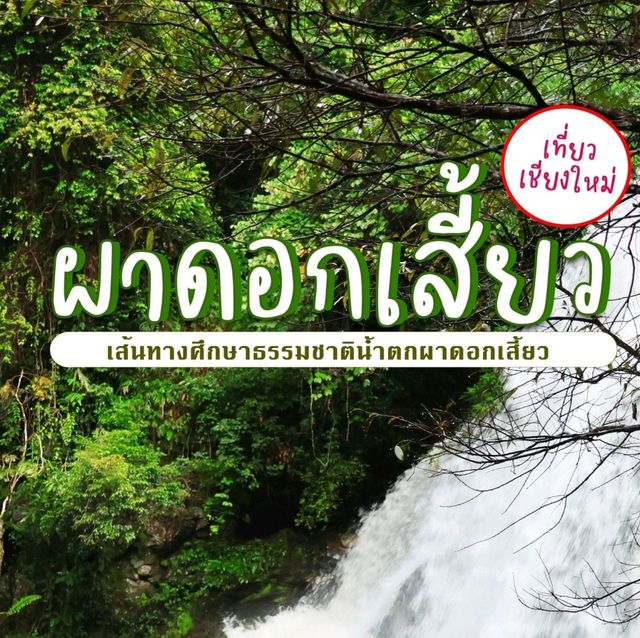 เส้นทางศึกษาธรรมชาติผาดอกเสี้ยว ดอยอินทนนทฺ์