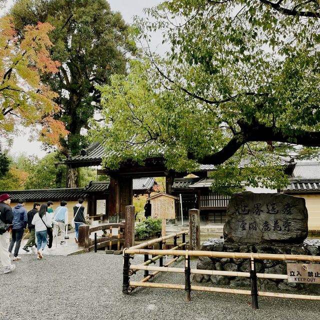 【京都府】足利義満が描いた極楽浄土の世界。秋の鹿苑寺へ