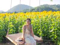 🌻ทุ่งทานตะวัน🌻@ไร่มณีศร
