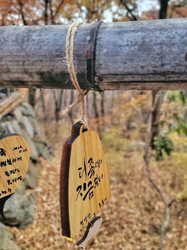 한적하게 거닐기 좋은 아름다운 홍룡사🍂