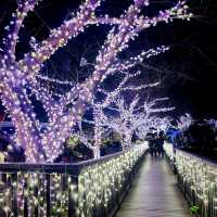 【神奈川県/江の島　関東三大イルミネーション”湘南の宝石💎”】