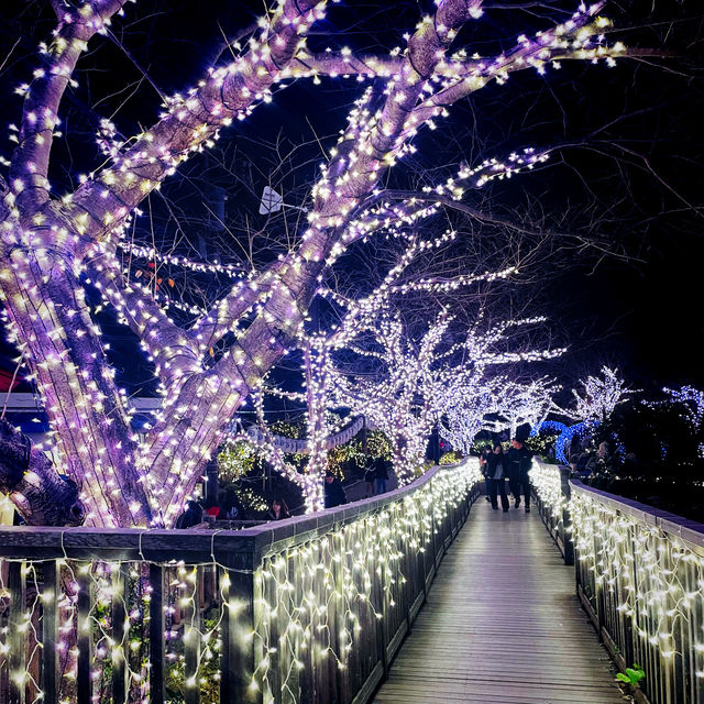 【神奈川県/江の島　関東三大イルミネーション”湘南の宝石💎”】