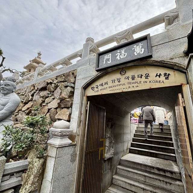 【韓国釜山・機張】釜山のパワースポット！願いを叶えたいなら「해동용궁사（海東龍宮寺）」