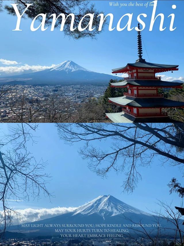 【新倉富士浅間神社】富士山が見える絶景神社で初詣☺️🗻⛩【山梨】