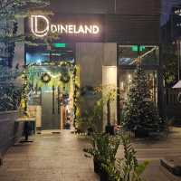 🌲Dineland🌲