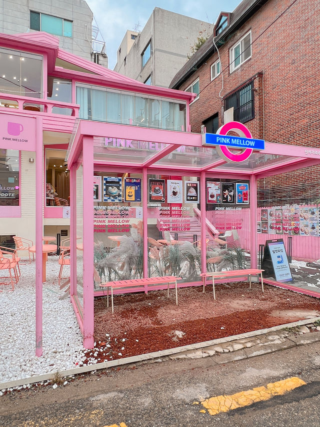 首爾之旅｜必游之地｜好逛又多咖啡廳☕️✨