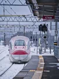 一生に一度はみたい日本の雪祭り☃️今ならまだ間に合うお得に旅する攻略情報付✨