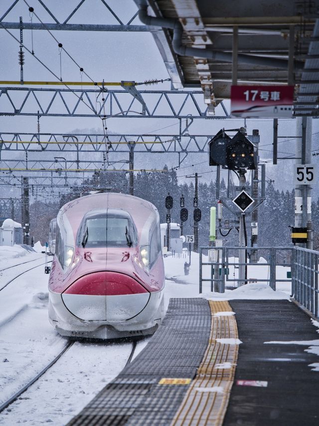 一生に一度はみたい日本の雪祭り☃️今ならまだ間に合うお得に旅する攻略情報付✨