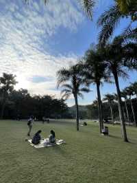 深圳最美植物園，湖光山色，處處都是打咭位