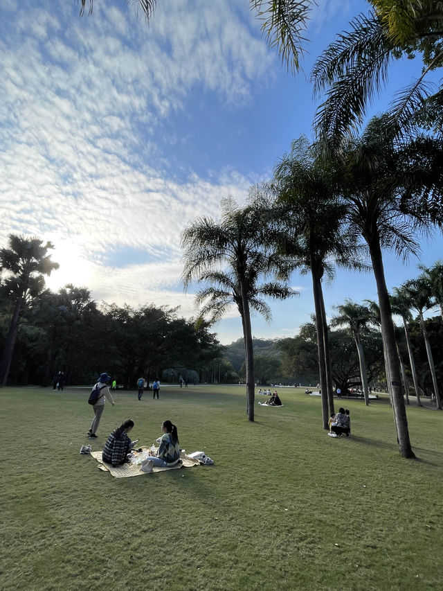 深圳最美植物園，湖光山色，處處都是打咭位