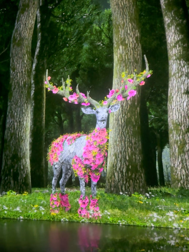 화려한 미디어아트의 향현, 강릉 아르떼뮤지엄🌸