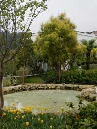大埔小白鷺湖，鬱金香花園 