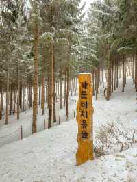 여기가 혹시 겨울왕국?☃️❄️