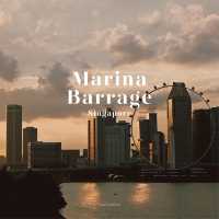 Marina Barrage