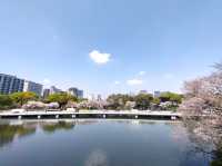 Chidorgafuchi Moat