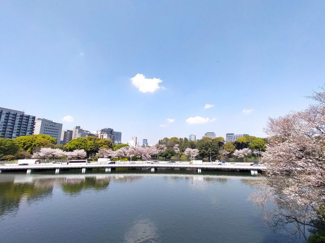 Chidorgafuchi Moat