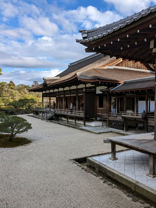 仁和寺の庭や池を眺めるていると、神社とは、また違う…寺院独特の荘厳な美しさを感じる