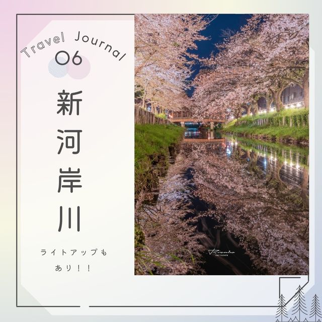 🌸桜の川越を巡る旅🌸