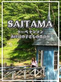 【埼玉】飯能市 北欧童話の世界をモチーフにした公園