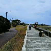 迎接曙光的好地方：台的東海濱公園