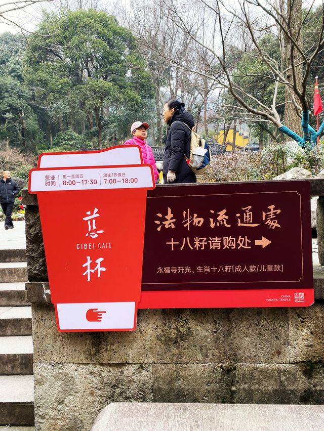 A morning coffee in Feilaifeng scenic area☕️