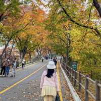 Fall-ing in Namsan Tower