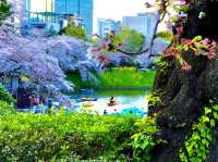 Chidorigafuchi Moat