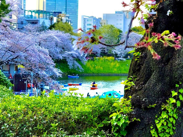 Chidorigafuchi Moat