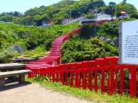 【鳥居と海が見える絶景スポット★】元乃隅神社