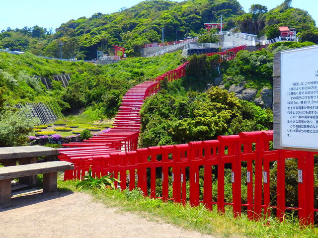 【鳥居と海が見える絶景スポット★】元乃隅神社