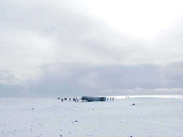 冰島🇮🇸｜絕不能錯過這孤獨的飛機殘骸