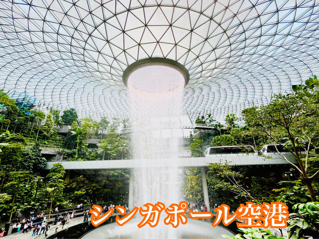 【シンガポール】屋内の滝💎美しい空港✨