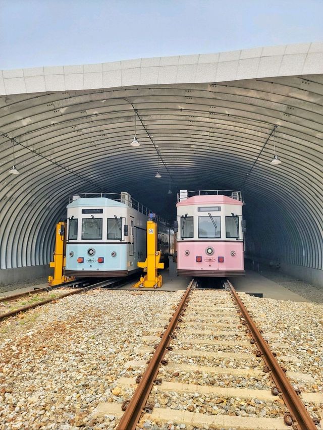 원주 벚꽃명소 반곡역🌸