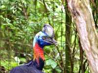 Singapore Zoo