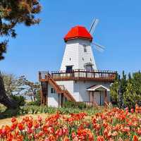 Sinan Tulip Festival