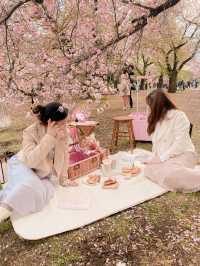おしゃピクするならレンタルで行こ🧺🌸