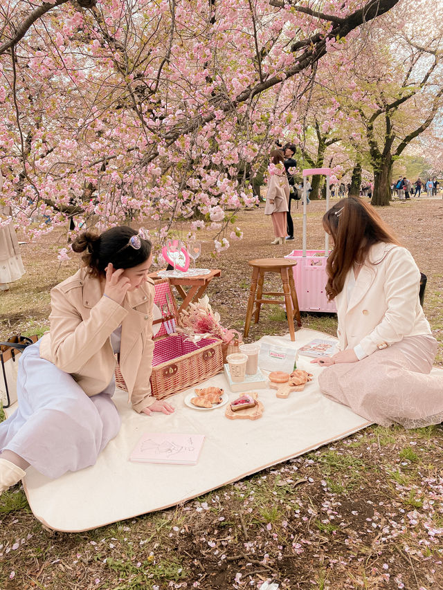 おしゃピクするならレンタルで行こ🧺🌸