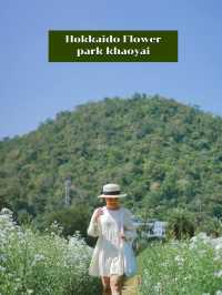 แจกแพลนเที่ยวเขาใหญ่ - วังน้ำเขียว