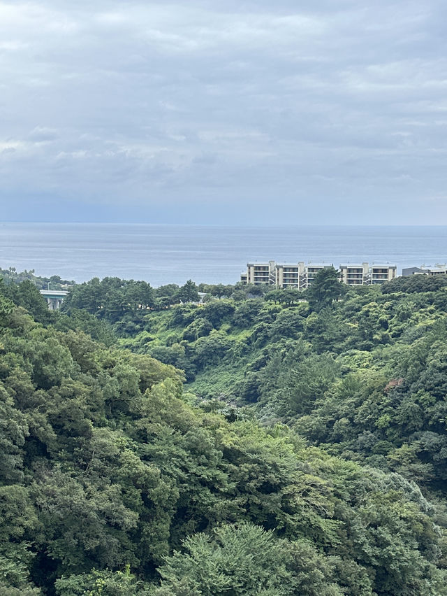 제주 2박3일 여행 코스