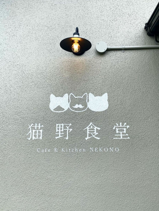 【佐賀カフェ】猫のモチーフが可愛いカフェ