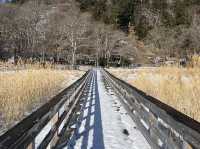 Why you should visit Nikko, Japan (Jan 2024)