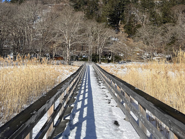 Why you should visit Nikko, Japan (Jan 2024)