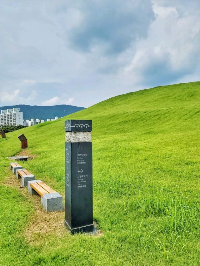 도심에서 즐기는 초록동산 고분군💚