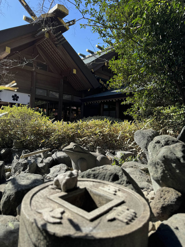【千葉】絶対に行ってほしい!!桜だらけのかわいすぎる神社🌸今話題のレースお守りも🤍